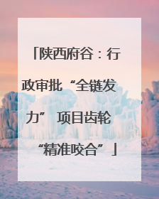 陕西府谷：行政审批“全链发力” 项目齿轮“精准咬合”