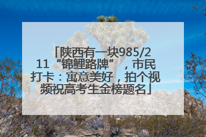 陕西有一块985/211“锦鲤路牌”，市民打卡：寓意美好，拍个视频祝高考生金榜题名