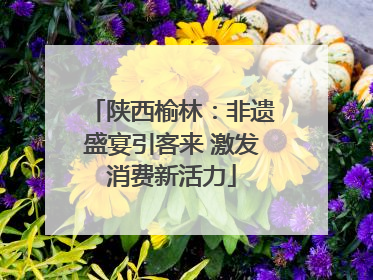 陕西榆林：非遗盛宴引客来 激发消费新活力