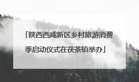 陕西西咸新区乡村旅游消费季启动仪式在茯茶镇举办