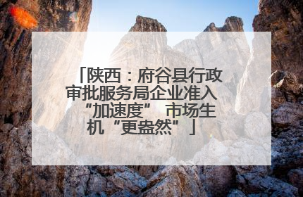 陕西：府谷县行政审批服务局企业准入“加速度” 市场生机“更盎然”