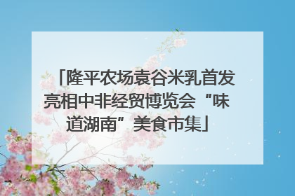 隆平农场袁谷米乳首发亮相中非经贸博览会“味道湖南”美食市集
