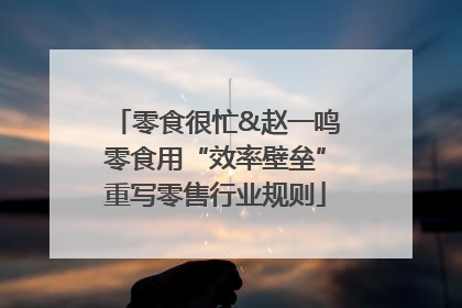 零食很忙&赵一鸣零食用“效率壁垒”重写零售行业规则