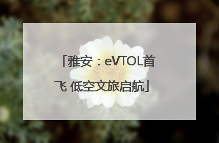 雅安：eVTOL首飞 低空文旅启航