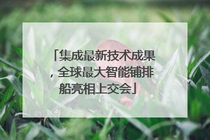 集成最新技术成果，全球最大智能铺排船亮相上交会