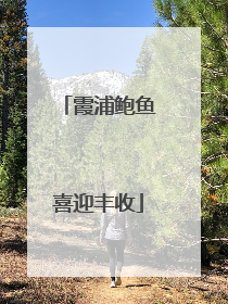霞浦鲍鱼喜迎丰收