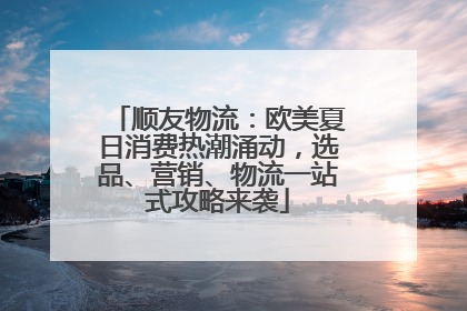 顺友物流：欧美夏日消费热潮涌动，选品、营销、物流一站式攻略来袭