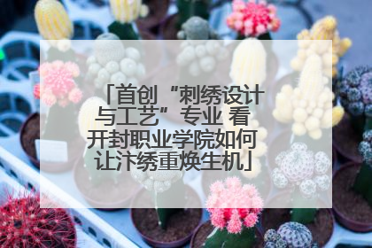 首创“刺绣设计与工艺”专业 看开封职业学院如何让汴绣重焕生机