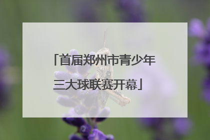 首届郑州市青少年三大球联赛开幕