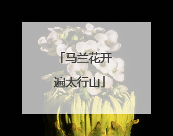 马兰花开遍太行山