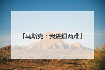 马斯克：我进退两难