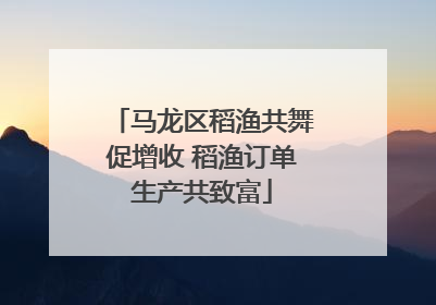 马龙区稻渔共舞促增收 稻渔订单生产共致富