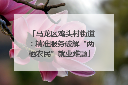 马龙区鸡头村街道：精准服务破解“两栖农民”就业难题