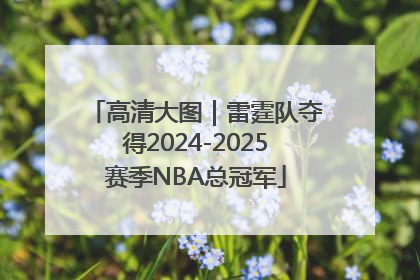 高清大图｜雷霆队夺得2024-2025赛季NBA总冠军