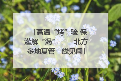 高温“烤”验 保灌解“渴”——北方多地夏管一线见闻