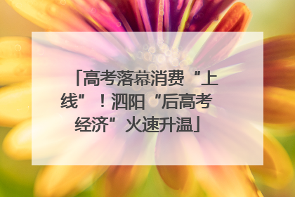 高考落幕消费“上线”！泗阳“后高考经济”火速升温