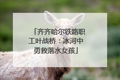 齐齐哈尔铁路职工叶战桥：冰河中勇救落水女孩