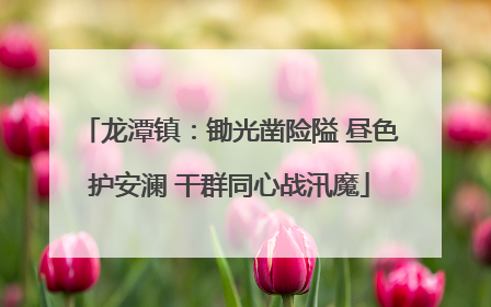 龙潭镇：锄光凿险隘 昼色护安澜 干群同心战汛魔