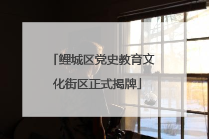 鲤城区党史教育文化街区正式揭牌
