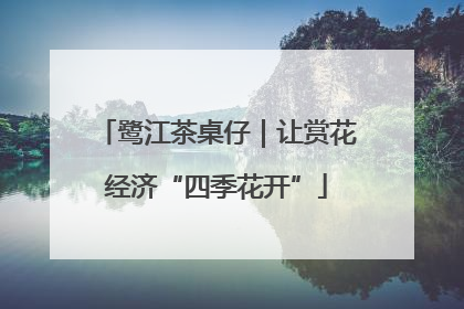 鹭江茶桌仔｜让赏花经济“四季花开”