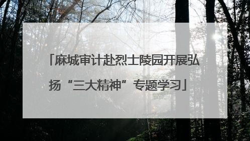 麻城审计赴烈士陵园开展弘扬“三大精神”专题学习