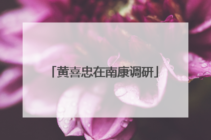 黄喜忠在南康调研