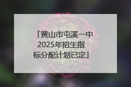 黄山市屯溪一中2025年招生指标分配计划已定