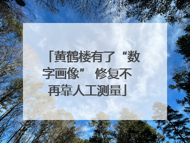 黄鹤楼有了“数字画像” 修复不再靠人工测量