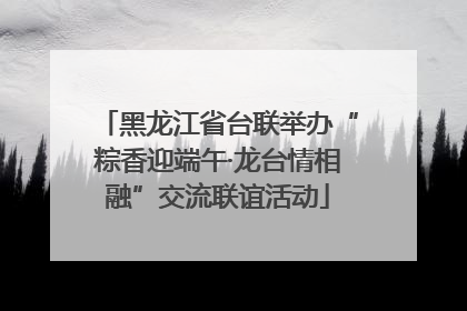 黑龙江省台联举办“粽香迎端午·龙台情相融”交流联谊活动