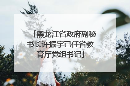 黑龙江省政府副秘书长许振宇已任省教育厅党组书记