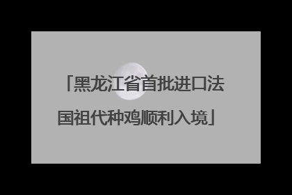黑龙江省首批进口法国祖代种鸡顺利入境