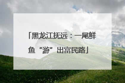 黑龙江抚远：一尾鲜鱼“游”出富民路