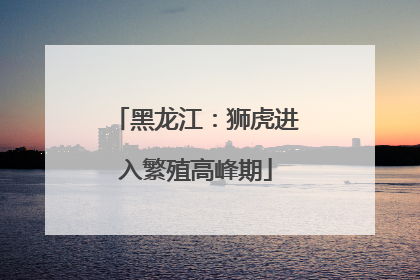 黑龙江：狮虎进入繁殖高峰期