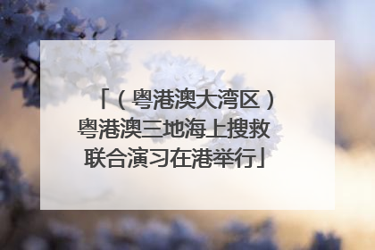 （粤港澳大湾区）粤港澳三地海上搜救联合演习在港举行