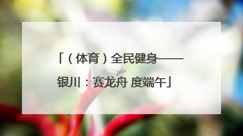 （体育）全民健身——银川：赛龙舟 度端午
