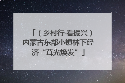 （乡村行·看振兴）内蒙古东部小镇林下经济“茸光焕发”