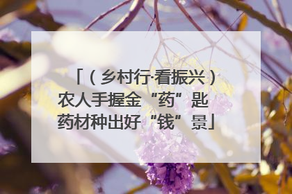 （乡村行·看振兴）农人手握金“药”匙 药材种出好“钱”景