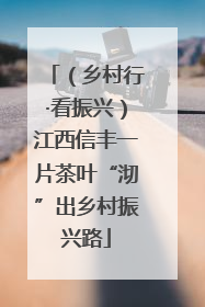 （乡村行·看振兴）江西信丰一片茶叶“沏”出乡村振兴路