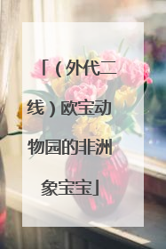 （外代二线）欧宝动物园的非洲象宝宝