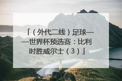 （外代二线）足球——世界杯预选赛：比利时胜威尔士（3）