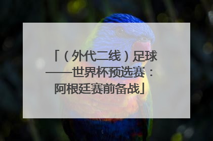 （外代二线）足球——世界杯预选赛：阿根廷赛前备战