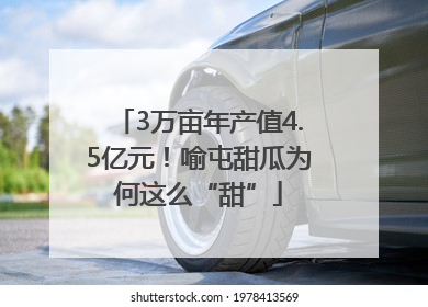 3万亩年产值4.5亿元！喻屯甜瓜为何这么“甜”