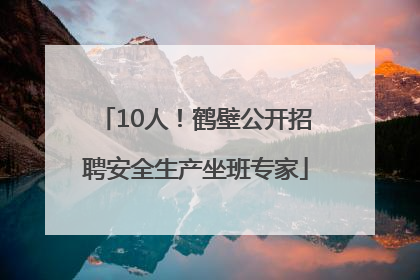 10人！鹤壁公开招聘安全生产坐班专家