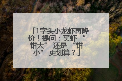 1字头小龙虾再降价！提问：买虾 “钳大” 还是 “钳小” 更划算？