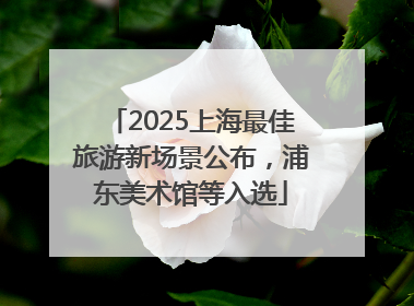 2025上海最佳旅游新场景公布，浦东美术馆等入选