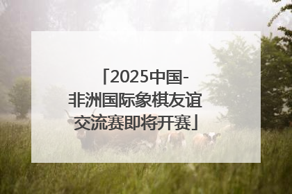 2025中国-非洲国际象棋友谊交流赛即将开赛