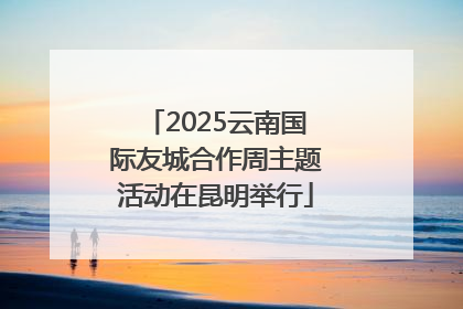 2025云南国际友城合作周主题活动在昆明举行