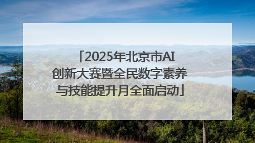 2025年北京市AI创新大赛暨全民数字素养与技能提升月全面启动