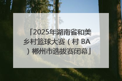 2025年湖南省和美乡村篮球大赛（村 BA）郴州市选拔赛闭幕