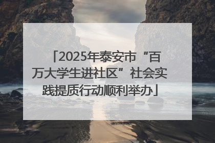 2025年泰安市“百万大学生进社区”社会实践提质行动顺利举办